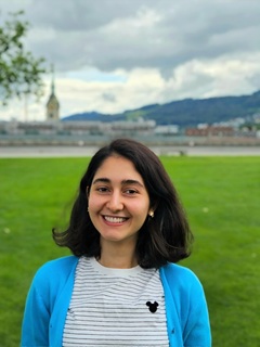  Setareh Amini