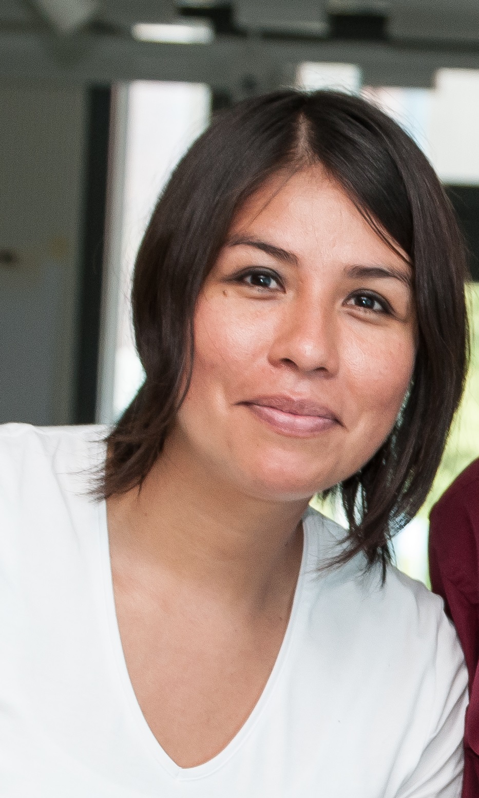 Prof. Dr. Aurea C. Chiaia-Hernández