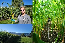 Lucija und Adrien bei der Probenahme in Liesberg BL