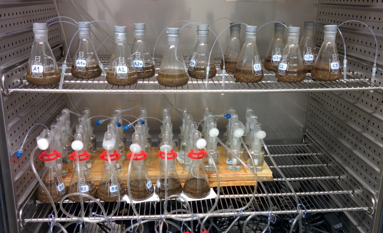 With rhizon sampler and flow pumps equipped flasks in a growth chamber