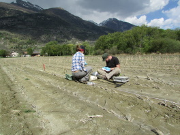 Two people on an agricultural field in Raron