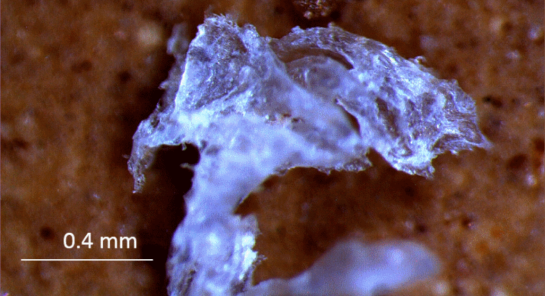 Microplastic particle with 0.4 mm scale