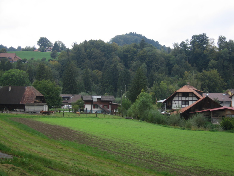 Farm with cultivated area