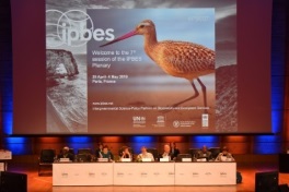 plenary session IPBES 2019