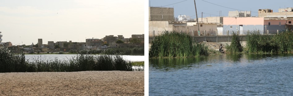 Urban Senegal