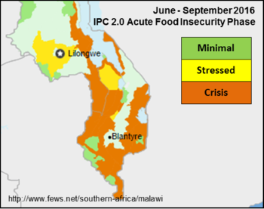 Acute food isecurity map