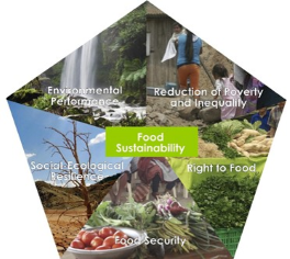 Schema Food Sustainablity