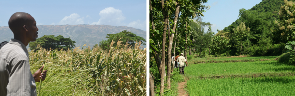 Farms in Africa