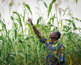 Maize farmer Africa
