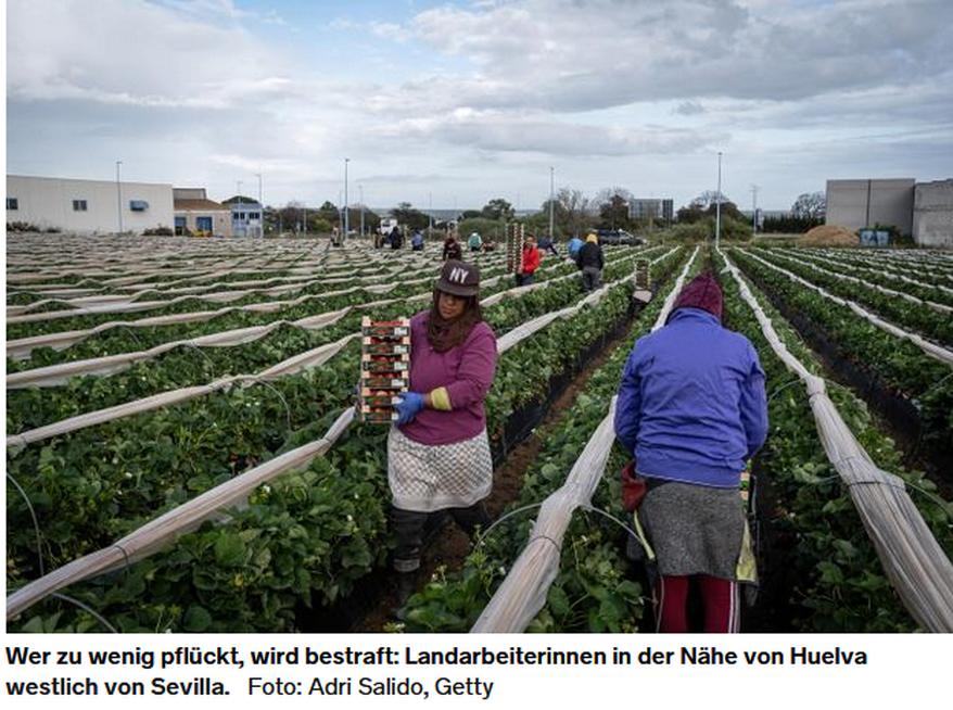 Landarbeiterinnen in der Nähe von Huelva