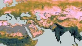 Ausschnitt aus der Karte: Rooting-zone water-storage capacity from vegetation activity