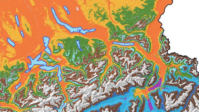 Ausschnittt aus der Karte "Altitudinal vegetation belts"