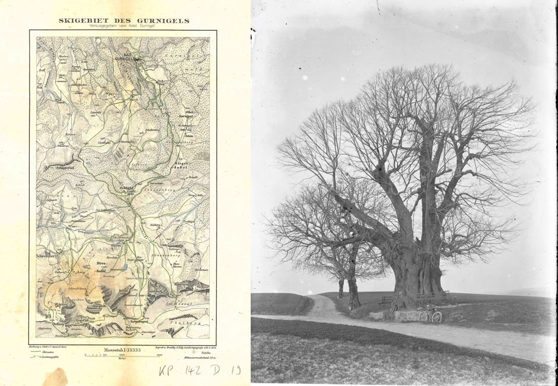 Karte "Skigebiet des Gurnigels" um 1925 / Foto der "Linner Linde" auf dem Bözberg
