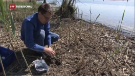 Moritz Bigalke in der SRF-Tagesschau