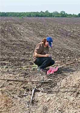 Feldarbeit